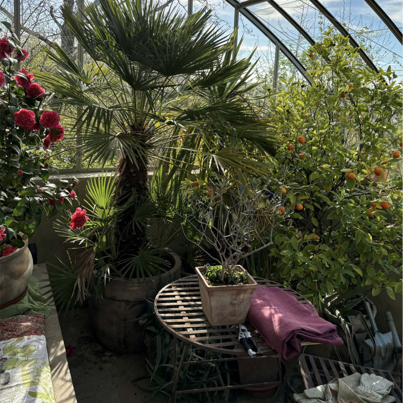 Serre à l'ancienne MONTESQUIEU largeur 2.80 m sur muret