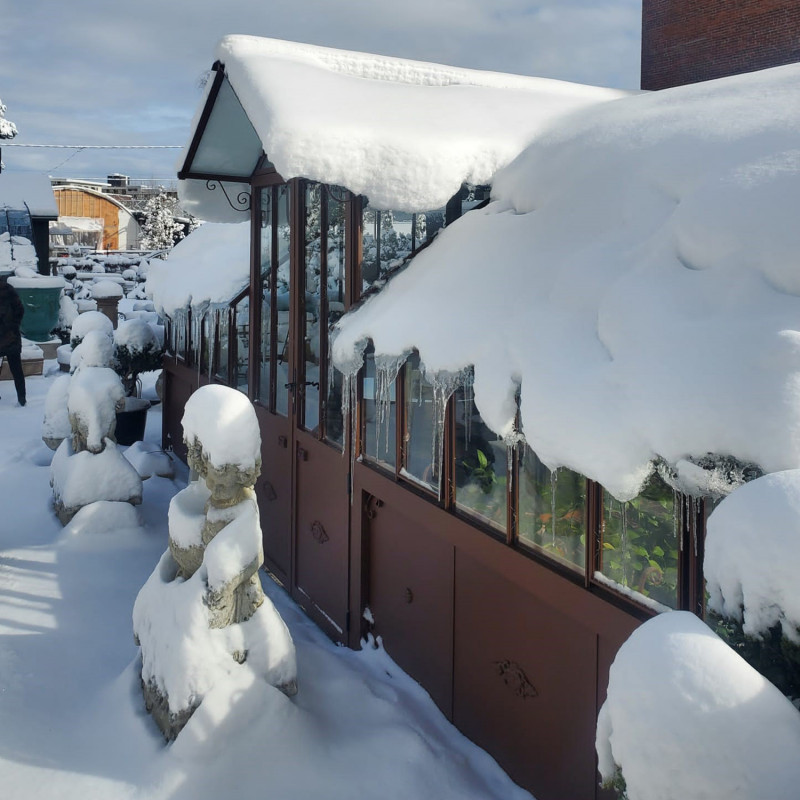 Serre à l'ancienne AMBOISE largeur 5.60 m sur embase aluminium