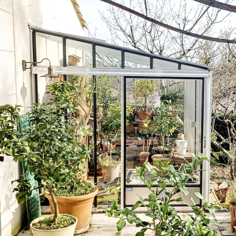 Serre LUXIA Rétro Adossée largeur 2,32 m