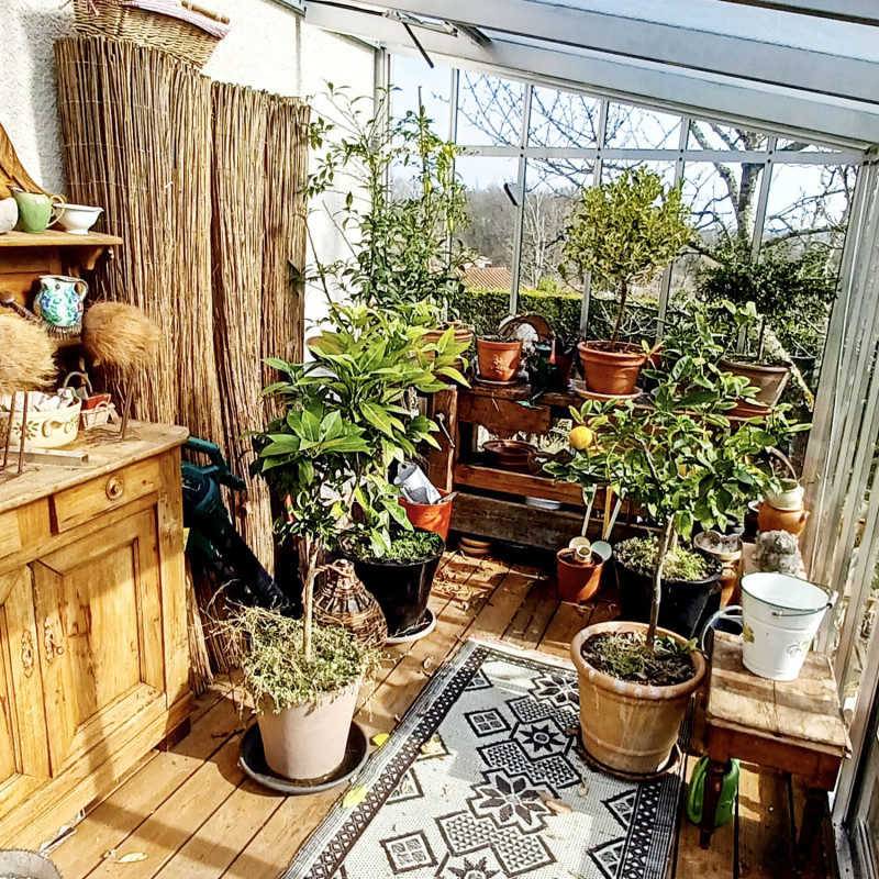 Serre LUXIA Rétro Adossée largeur 2,32 m