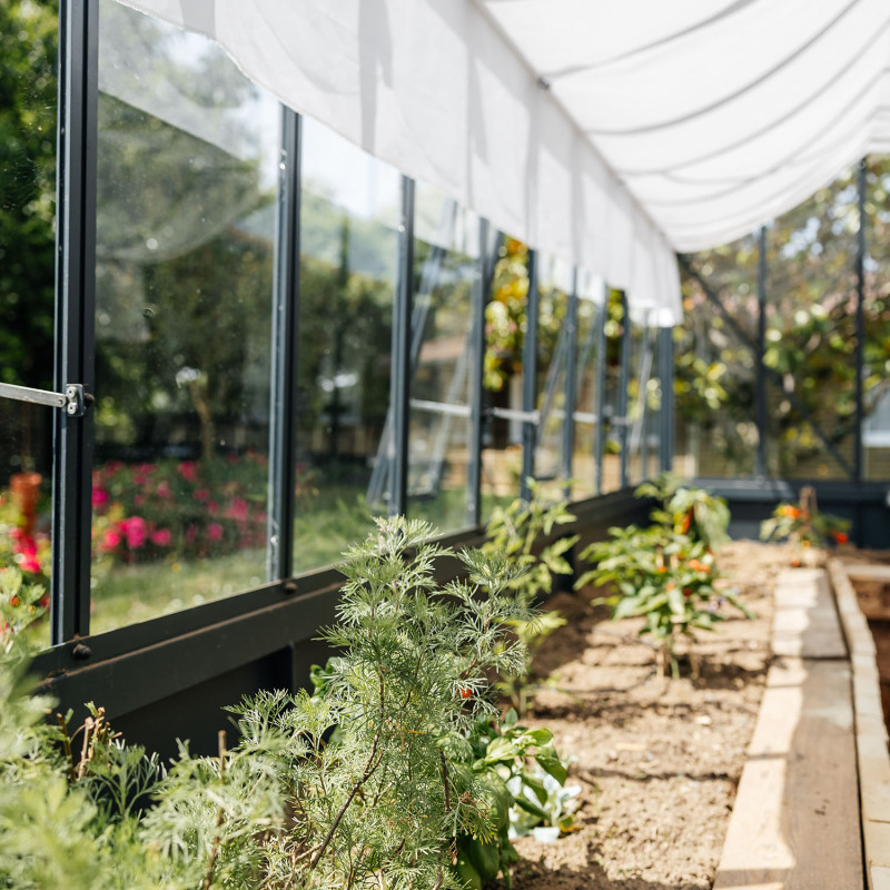 Serre CLASSIQUE largeur 2,75m sur embase aluminium