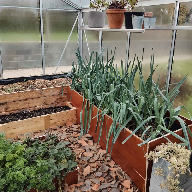 Serre ESSENTIA largeur 3,09 m