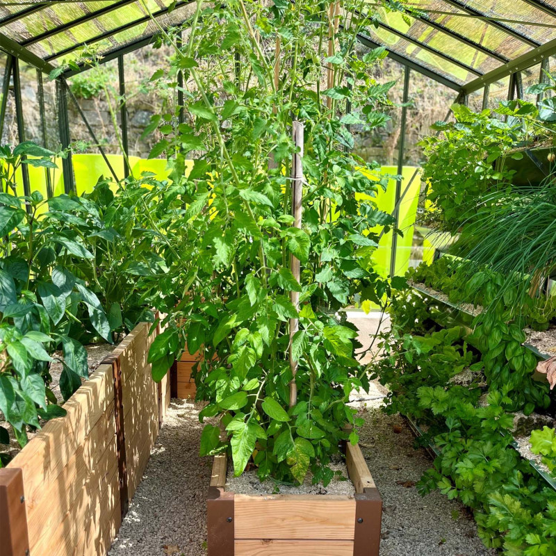 Serre à l'ancienne CLASSIQUE 2,75 m sur muret