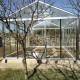 Serre de jardin SUPRA 3,40 m x 5,30 m - Aluminium naturel