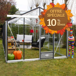 Serre de jardin Essentia 3,09 m x 6,04 m - Aluminium naturel