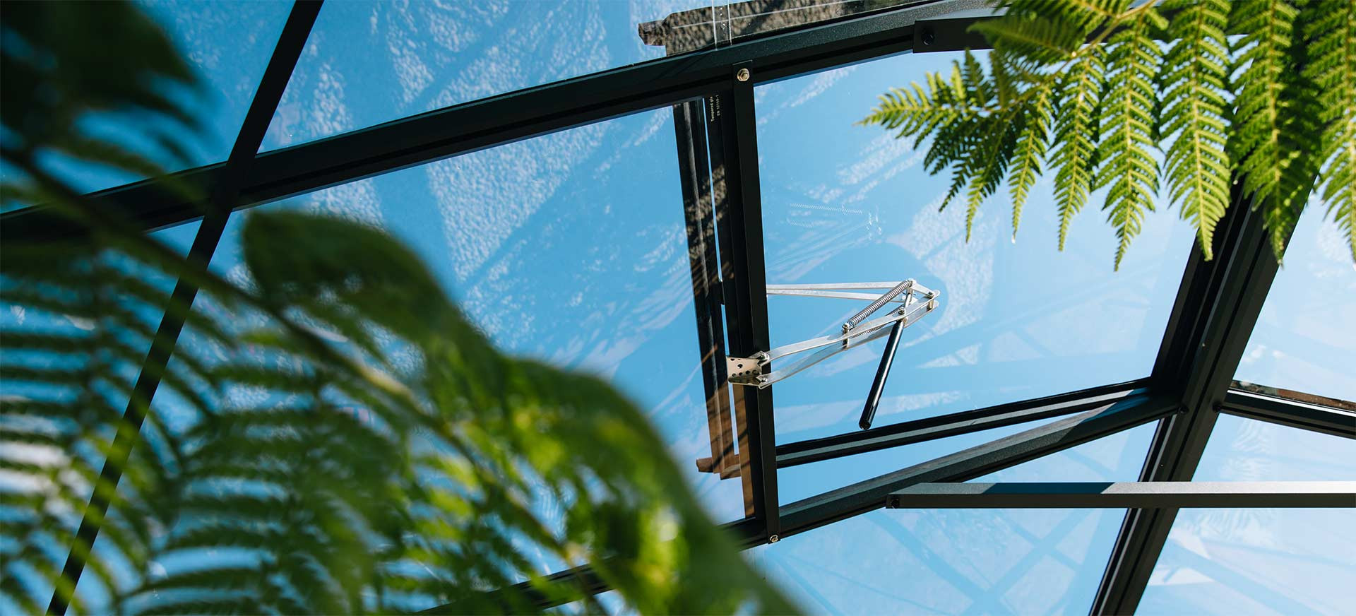 Essentia, Luxia et Supra